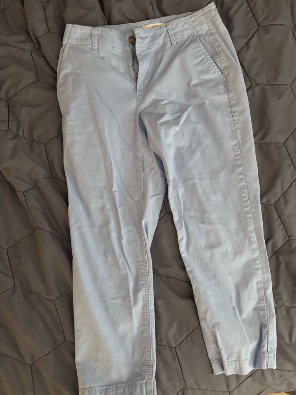 LOFT Light Blue Women’s Chinos
